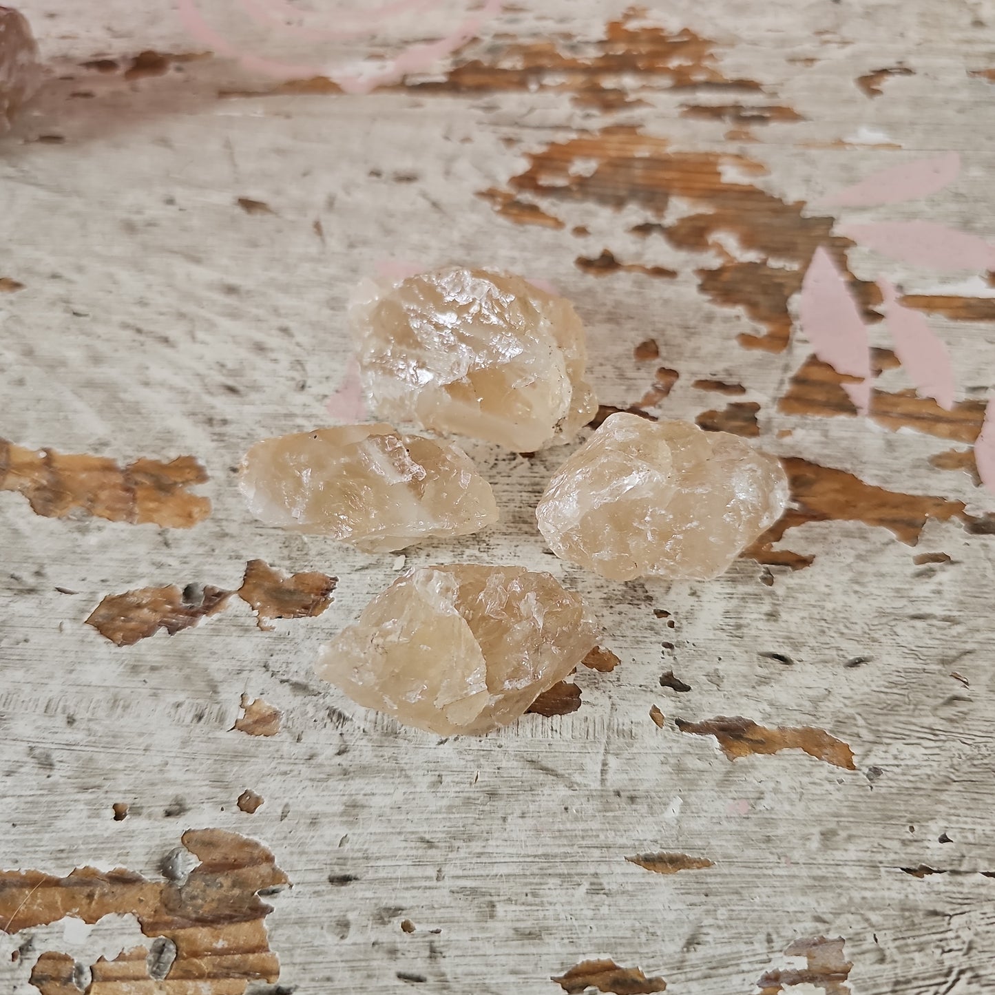 Sitriini raakapala -Suomi-