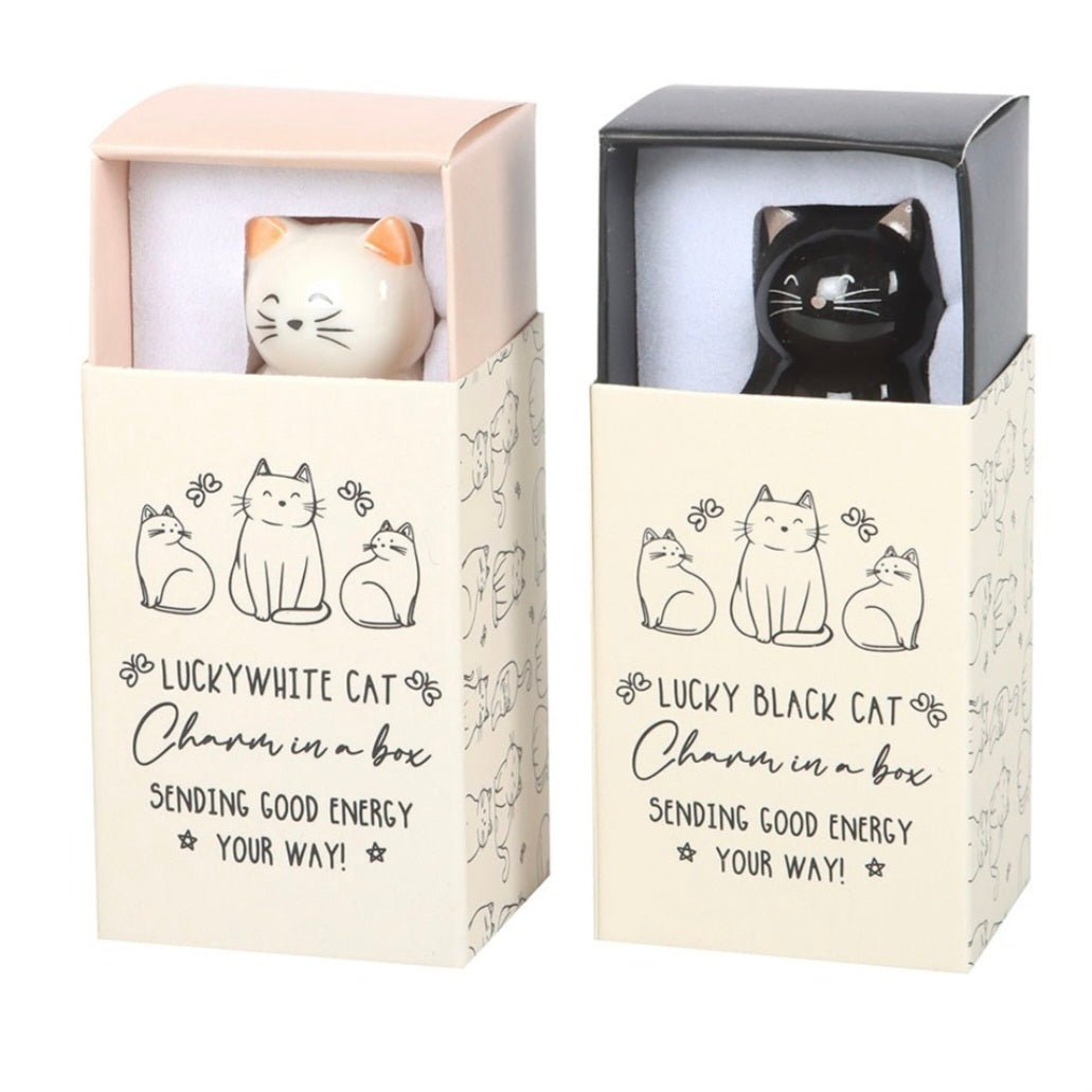 "Lucky cat" kissaesine rasiassa -valitse väri-