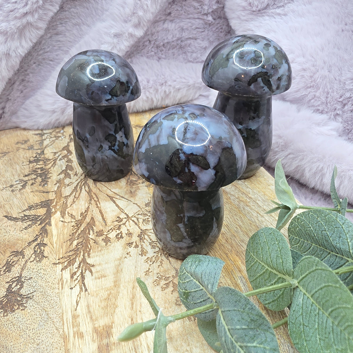 Indogo gabbro sieni