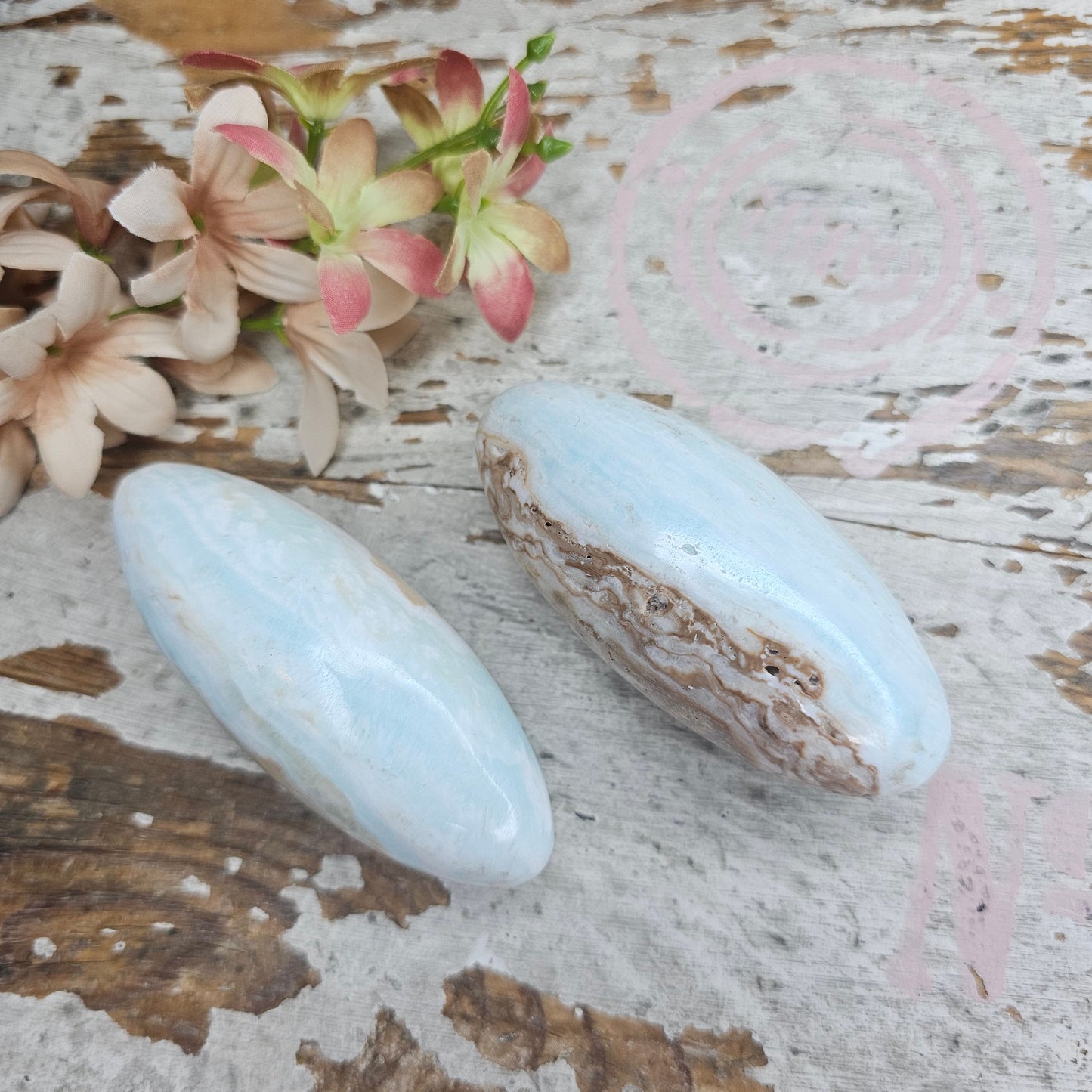 Shiva -caribbean blue-