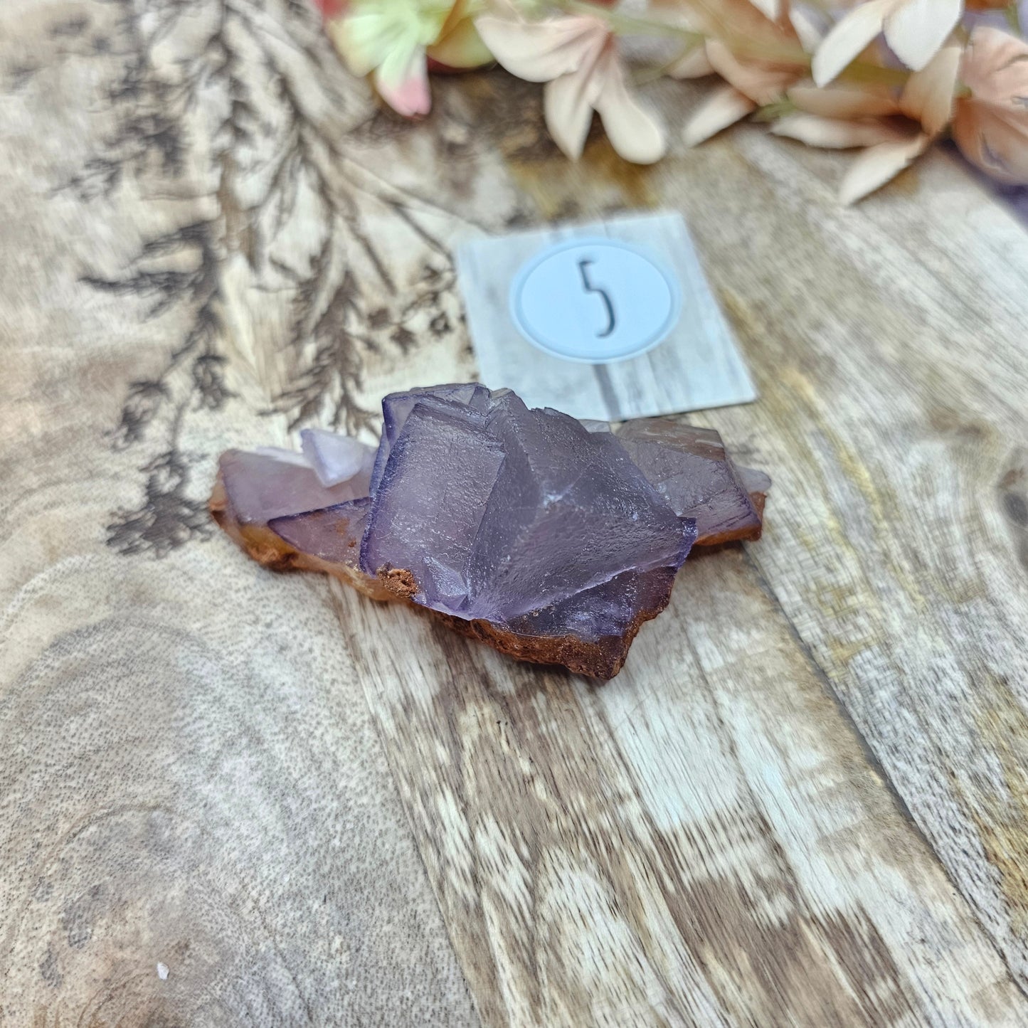 Purple fluoriitti clusteri