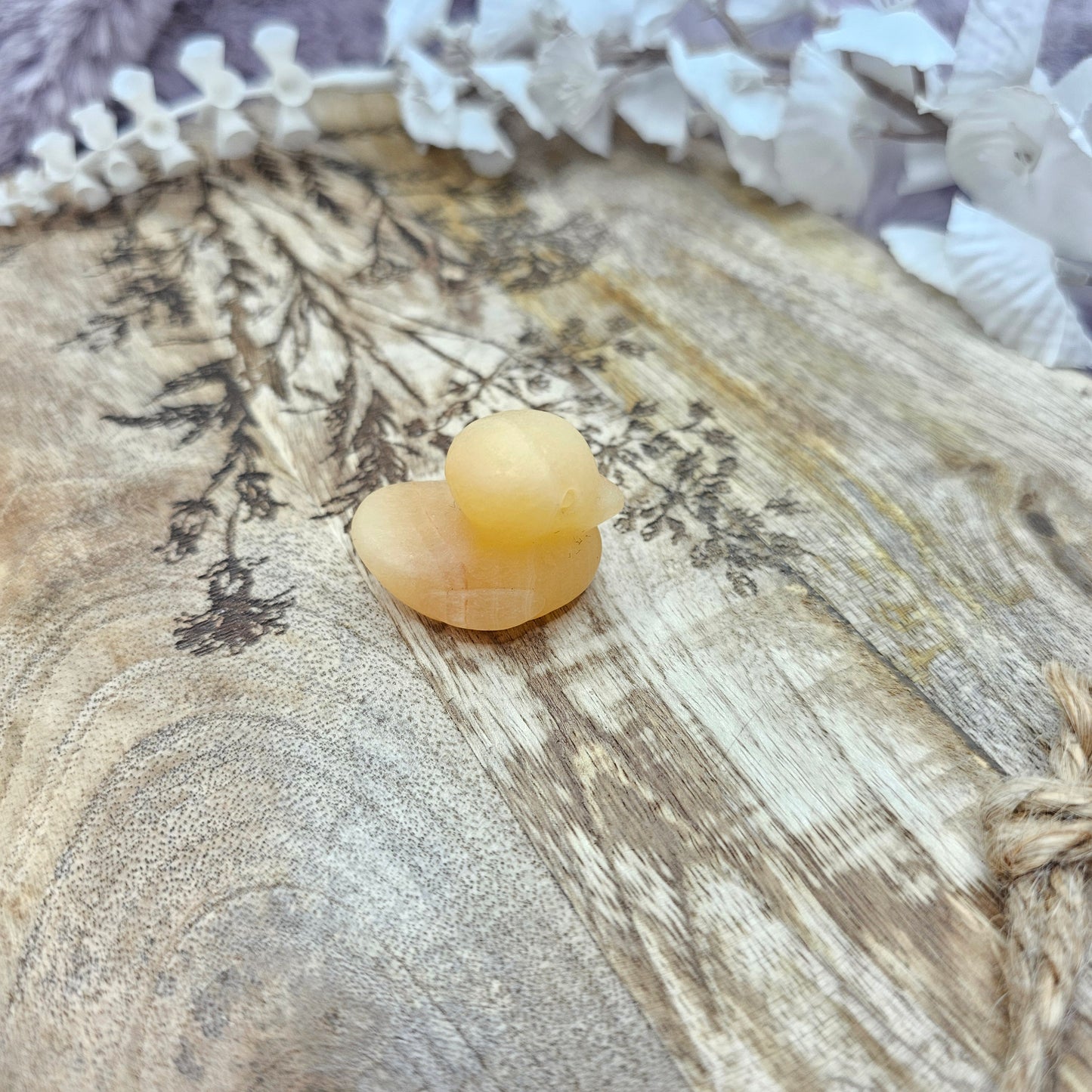 Ankka -pieni-