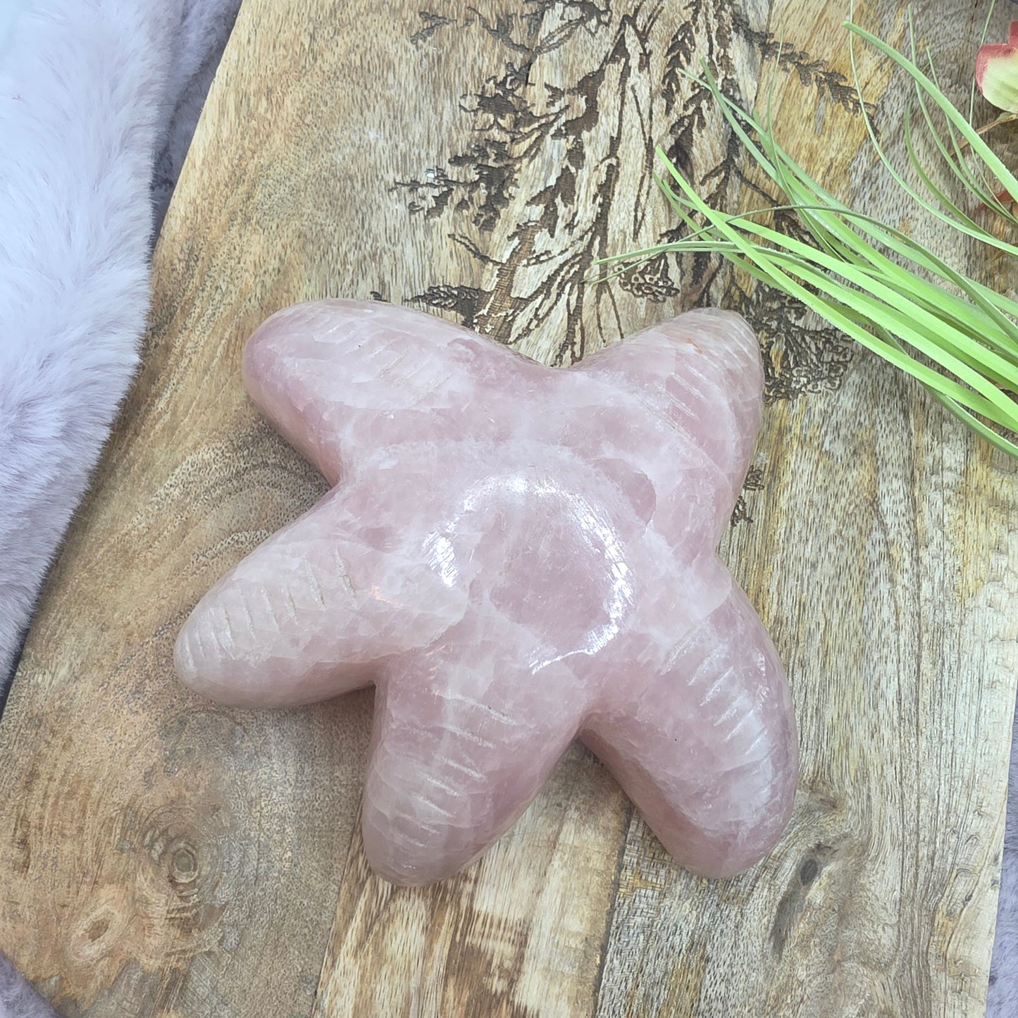 Ruusukvartsi meritähti