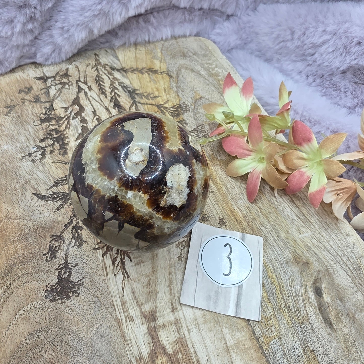 Septarian pallo