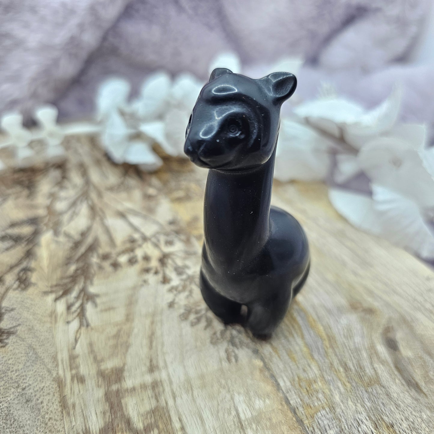 Obsidiaani laama
