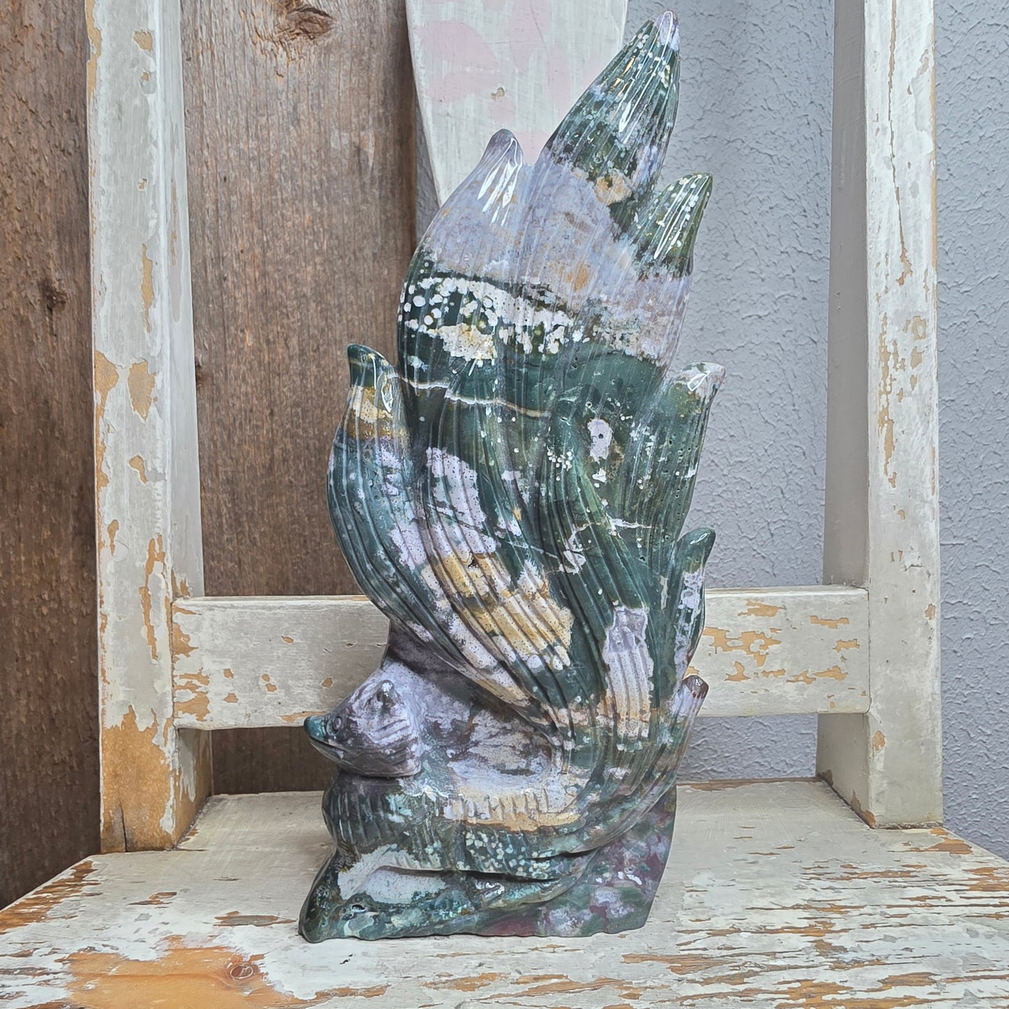 Valtamerijaspis 9-häntäinen kettu