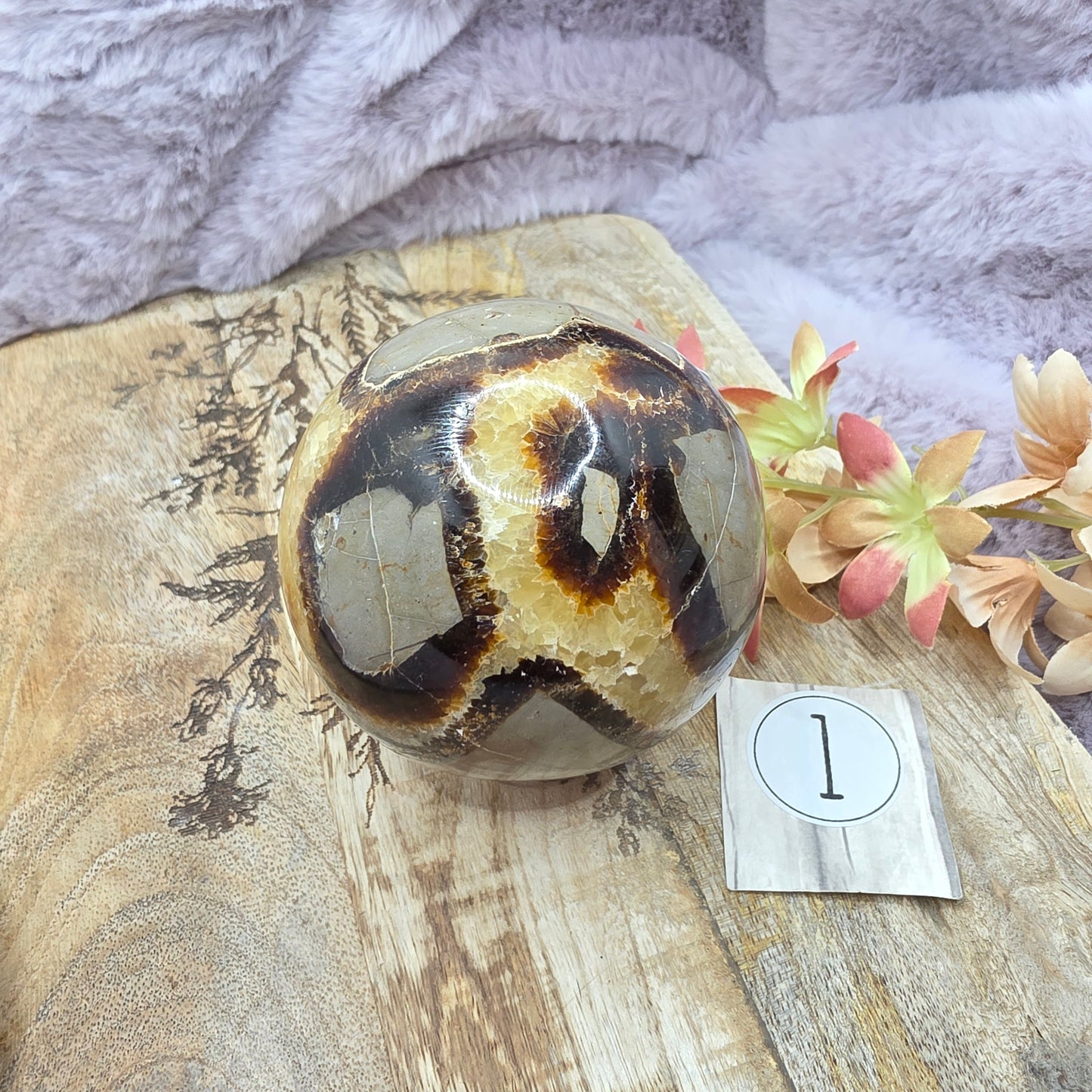 Septarian pallo