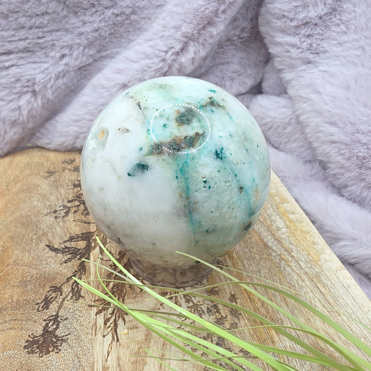 Phoenix pine pallo