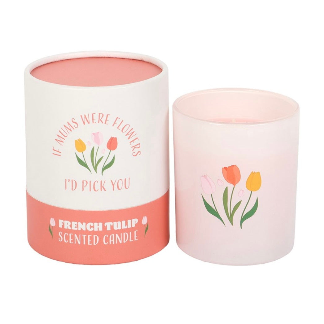 Tuoksukynttilä -french tulip-