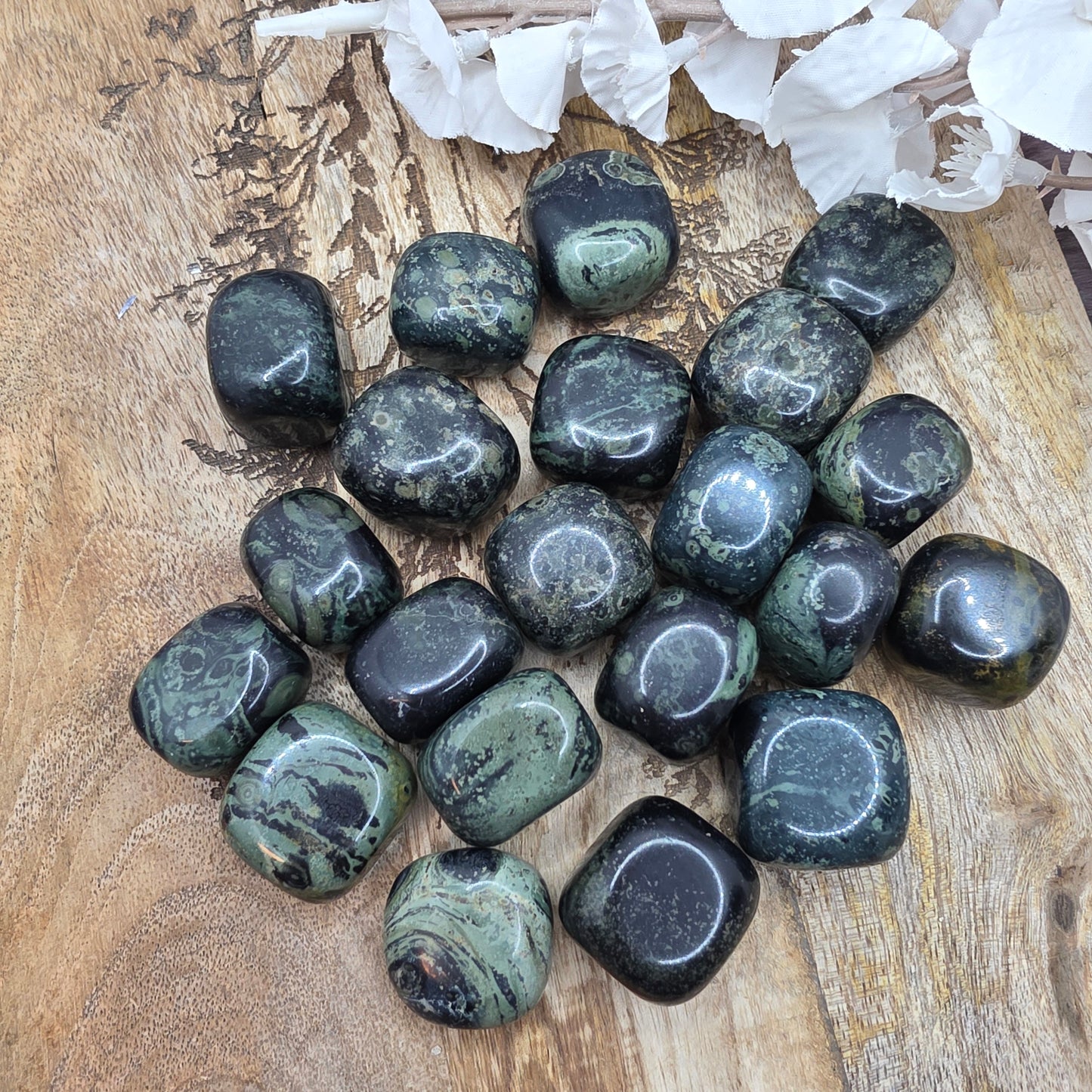 Kambabajaspis rumpuhiottu