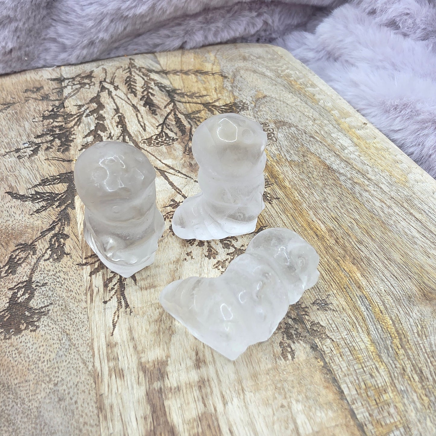 Pieni toukka vuorikidettä