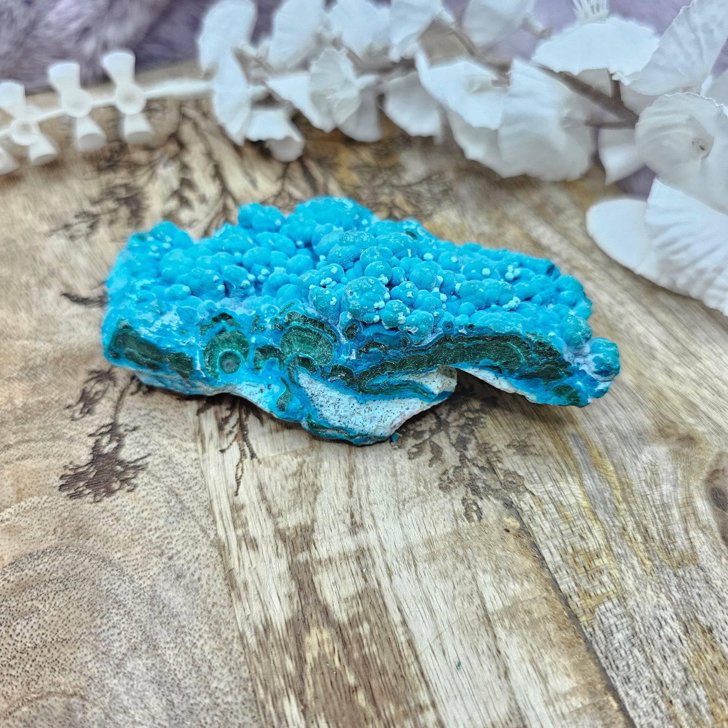 Malakolla clusteri nro.1