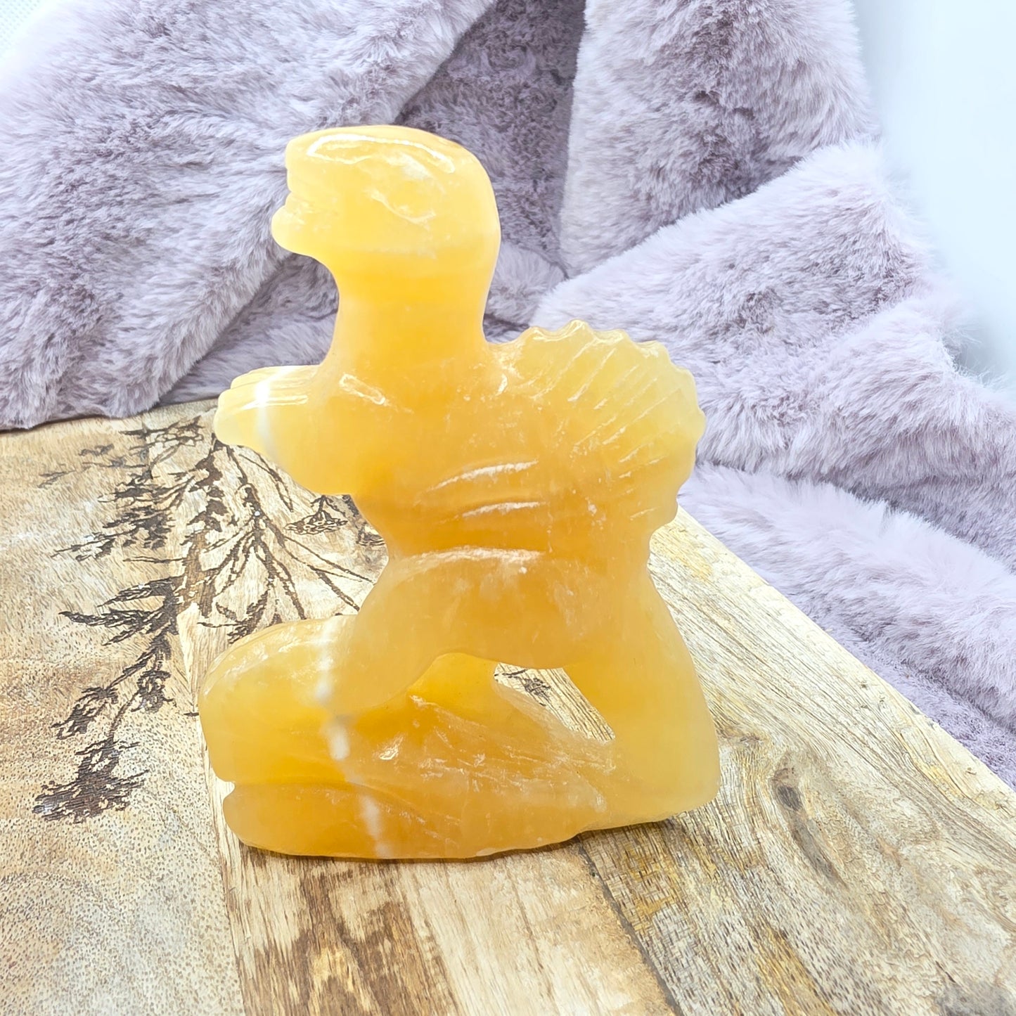 Appelsiinikalsiitti dino