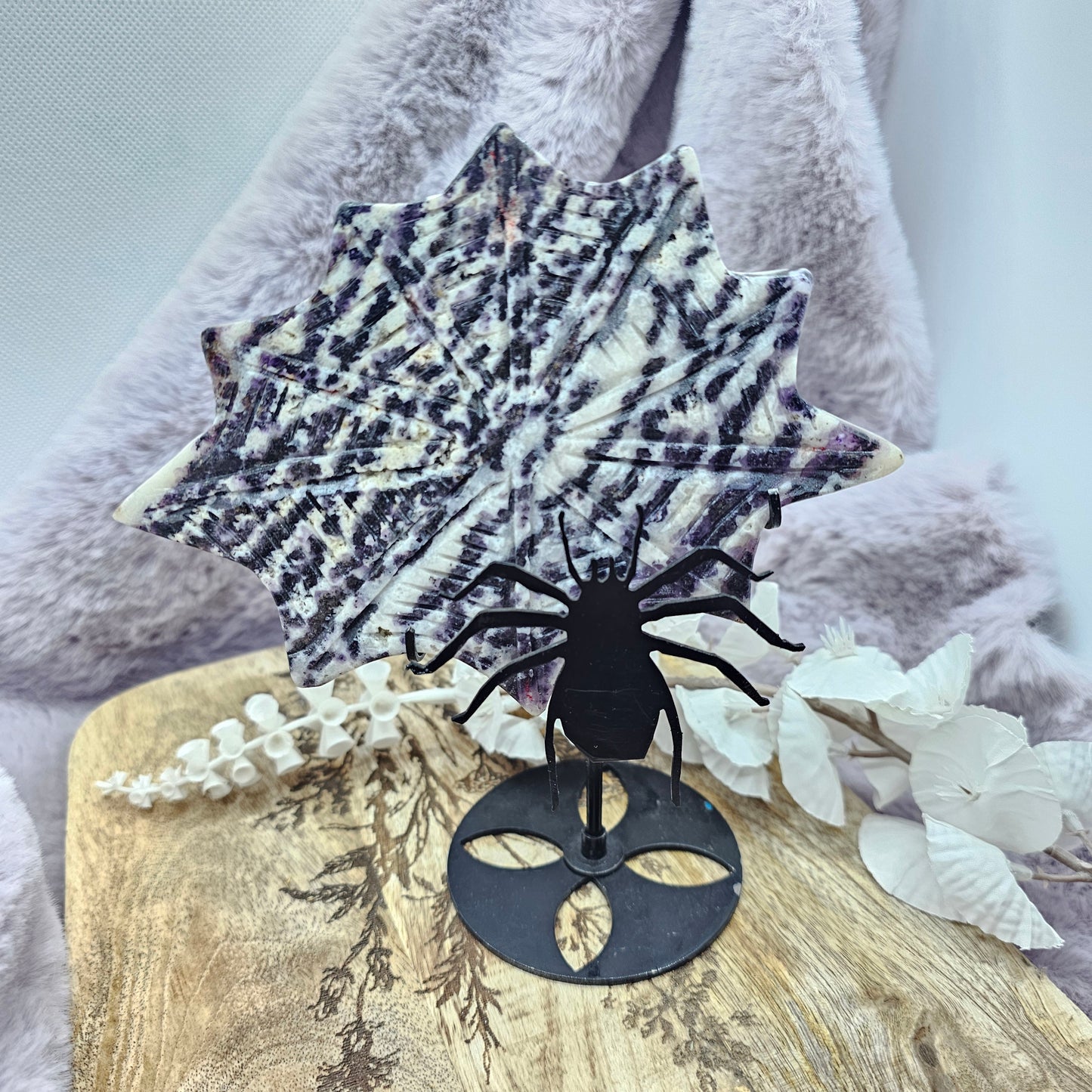 Violetti seeprajaspis hämähäkki telineessä nro.2