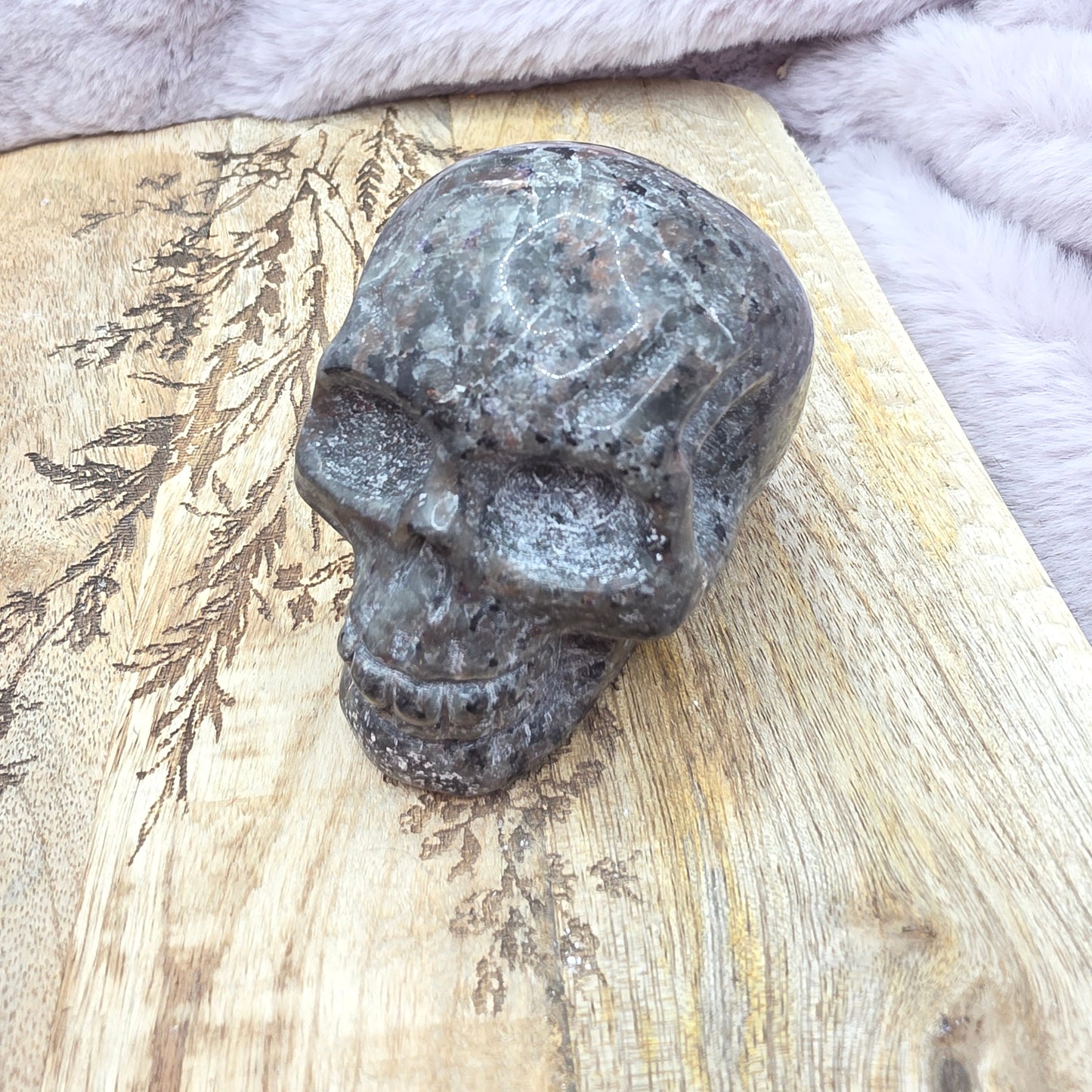 Yooperlite pääkallo 2lk.