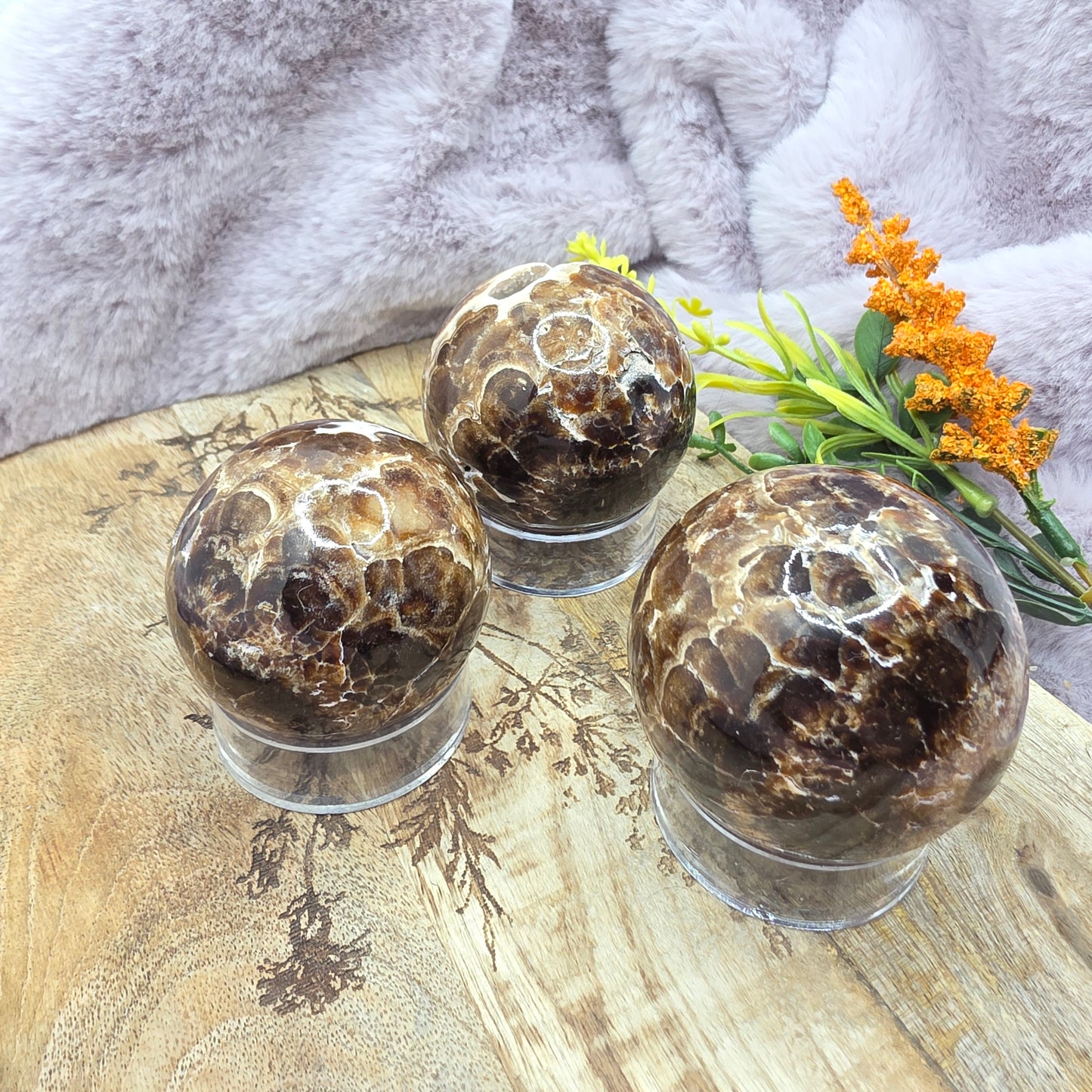 Suklaakalsiitti pallo