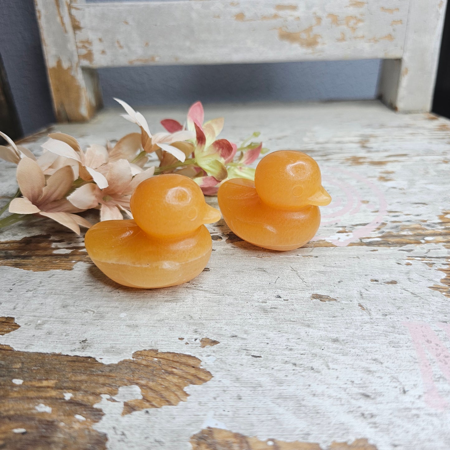 Appelsiinikalsiitti ankka