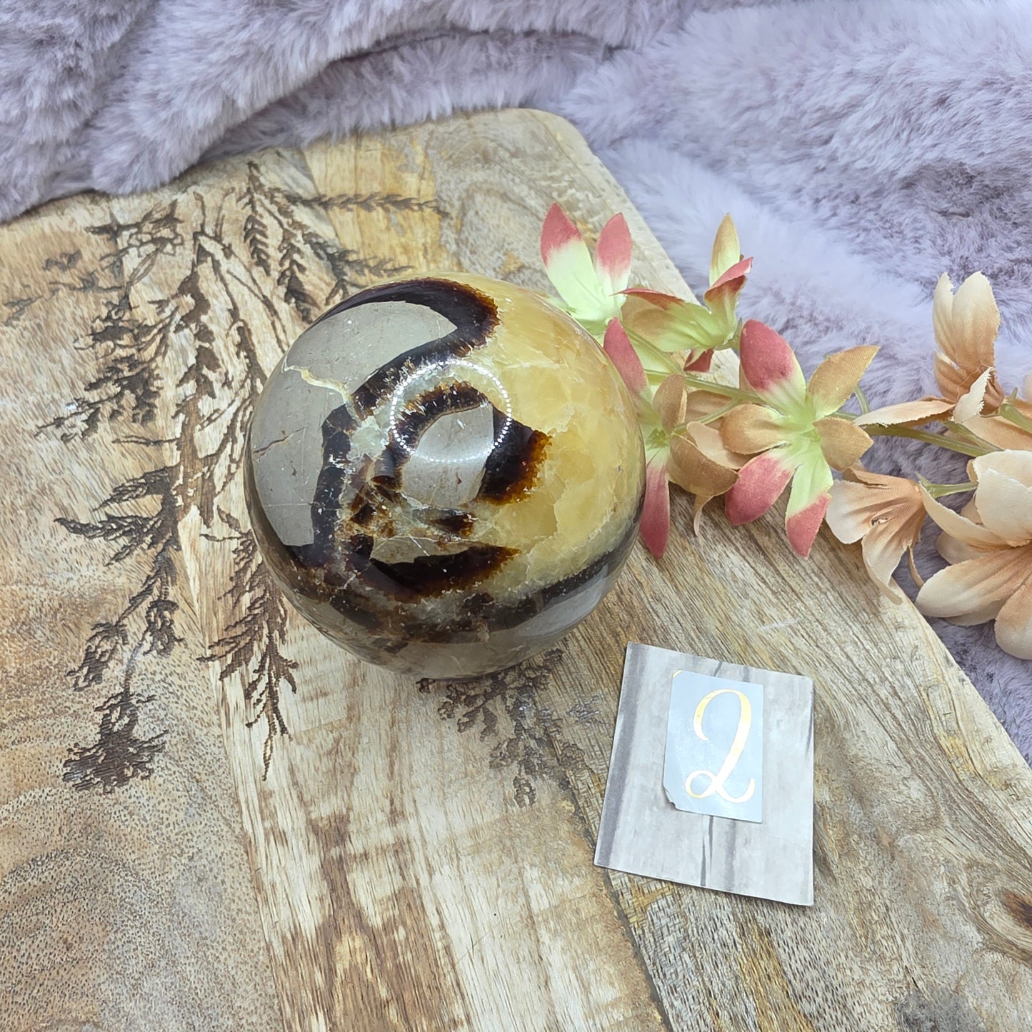 Septarian pallo