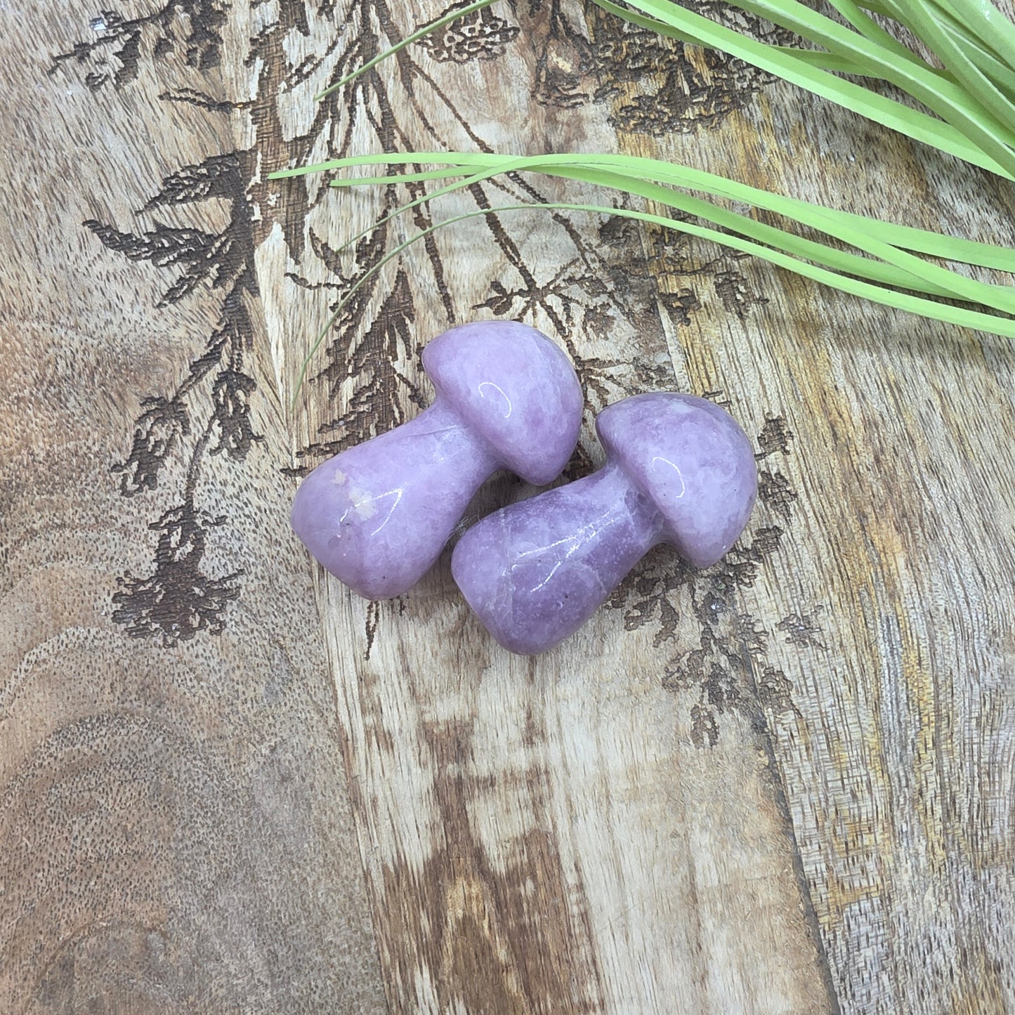 Sieni -valitse väri-