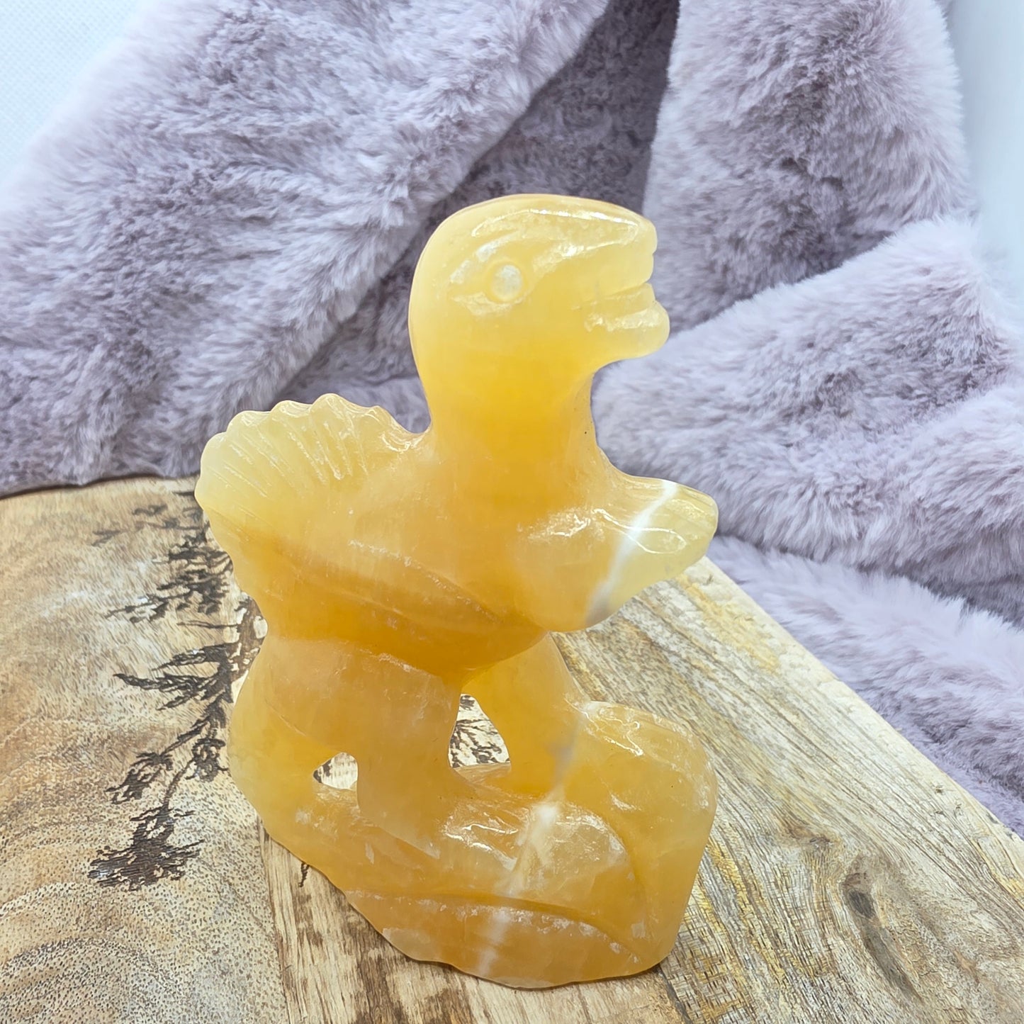 Appelsiinikalsiitti dino