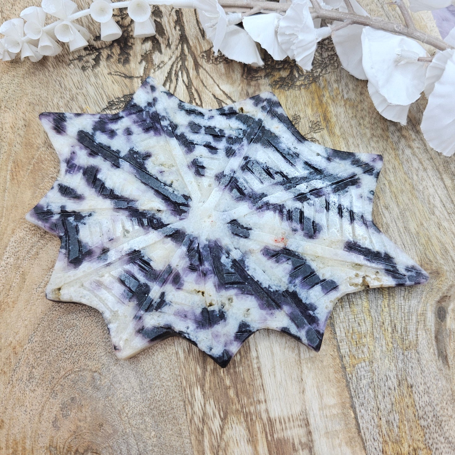 Violetti seeprajaspis hämähäkki telineessä nro.1