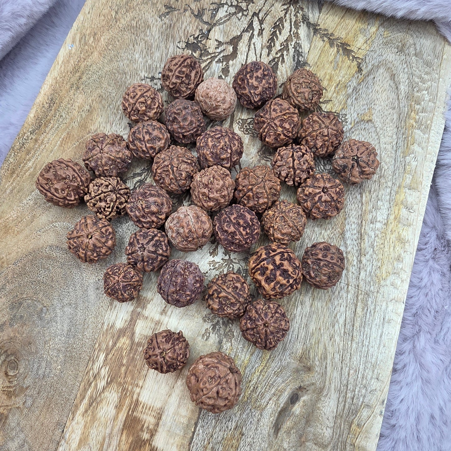 Rudraksha siemenhelmipallot