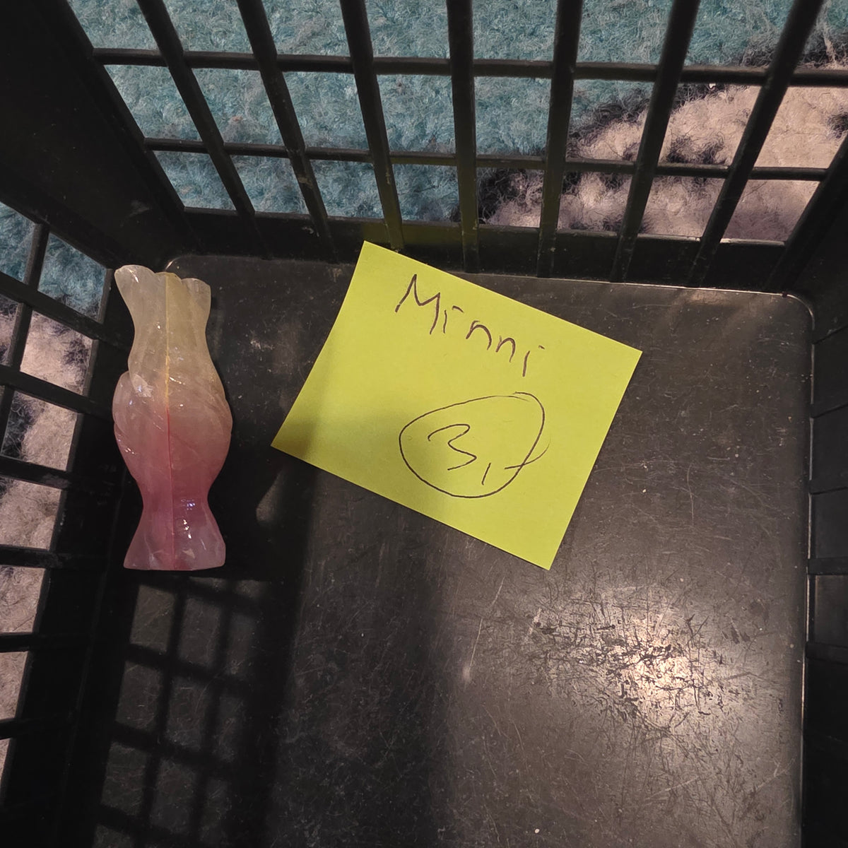 Minni