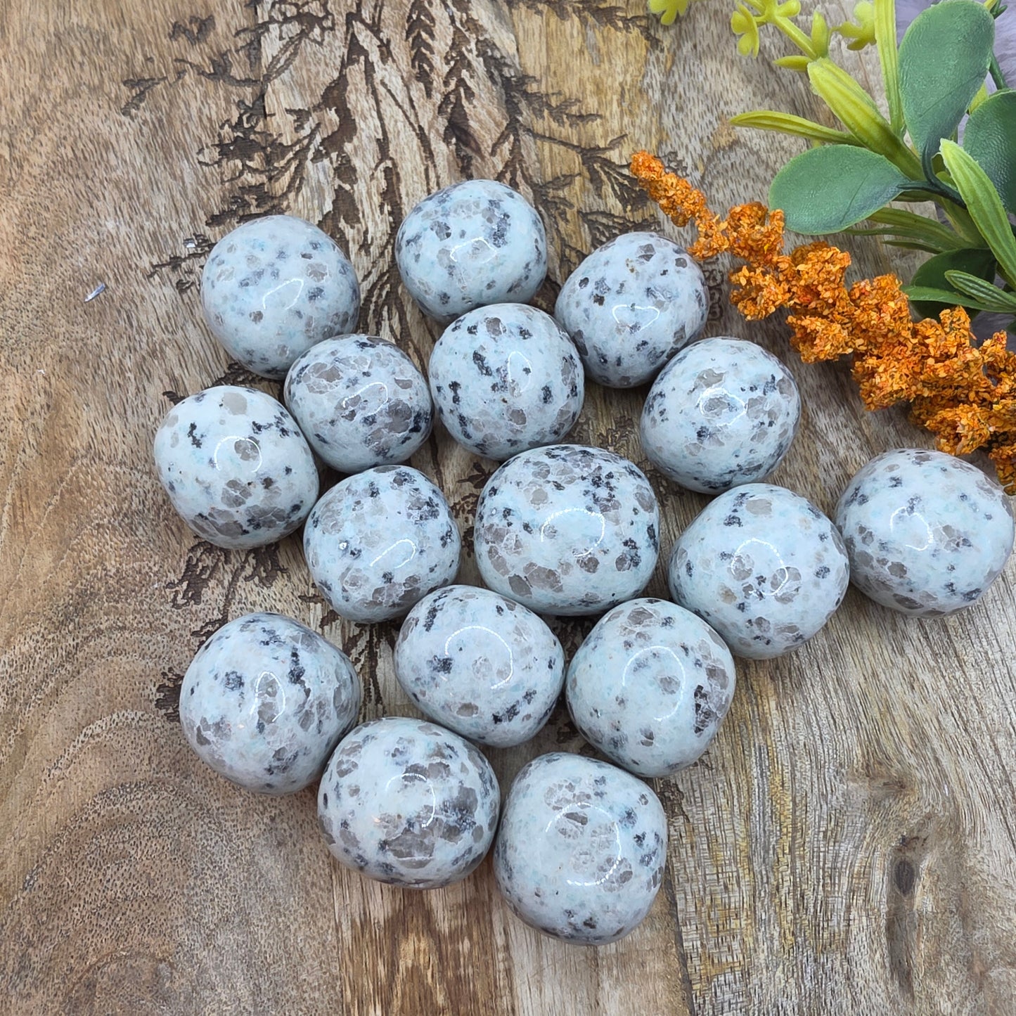 Kiwi-jaspis rumpuhiottu