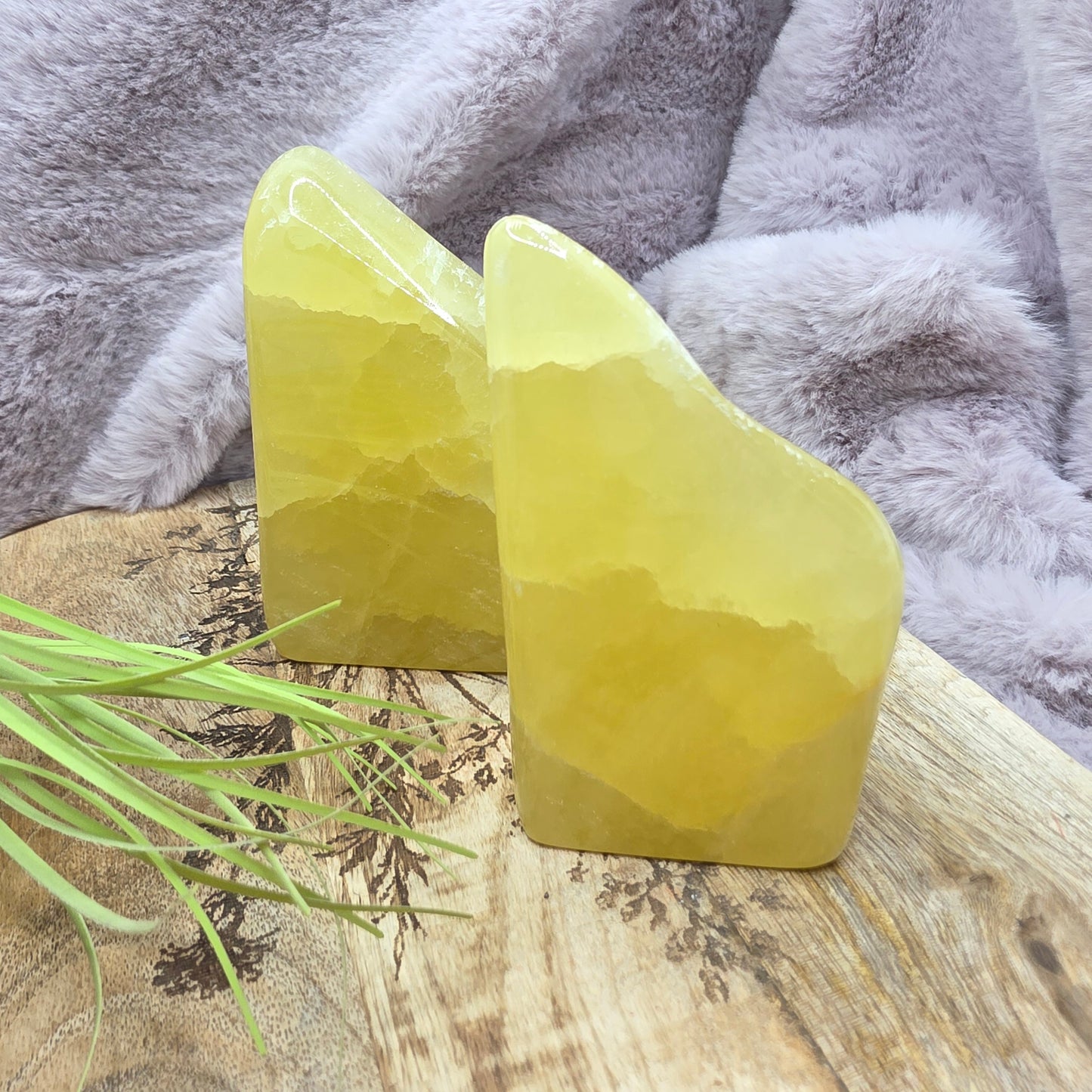 Sitruunakalsiitti freeform