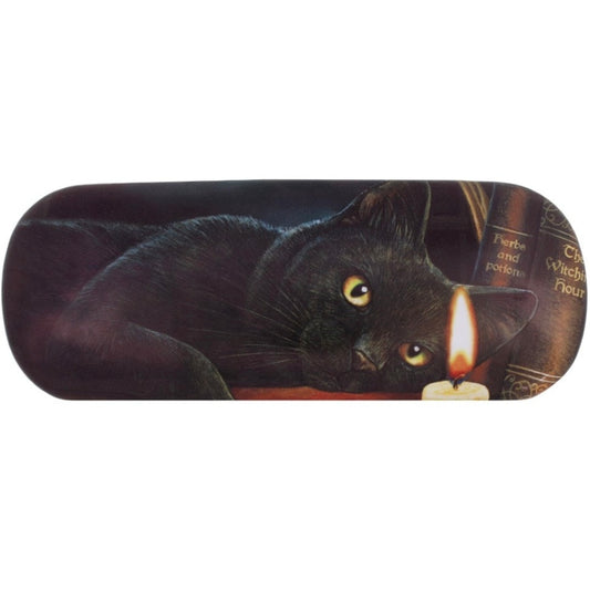 Silmälasikotelo -kissa-