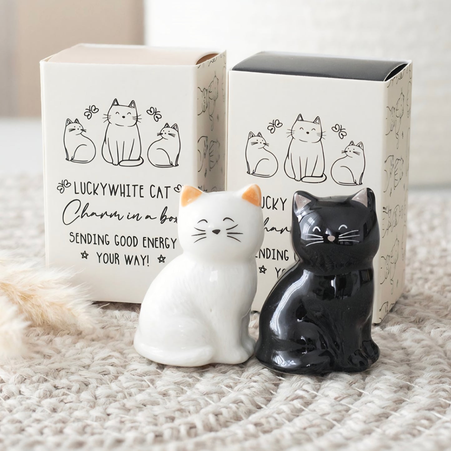 "Lucky cat" kissaesine rasiassa -valitse väri-