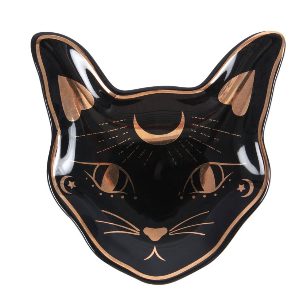 Koruastia -musta kissa-