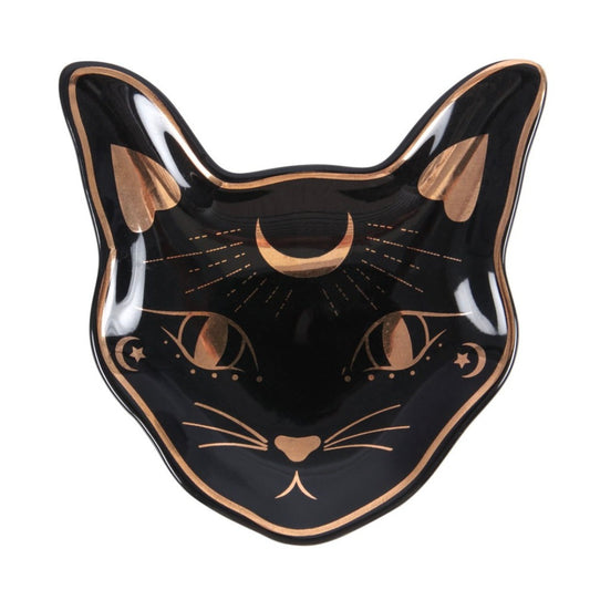 Koruastia -musta kissa-