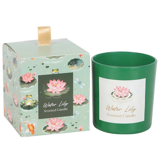 Tuoksukynttilä -lumpeenkukka-