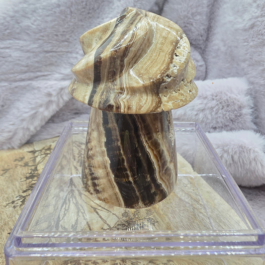 Suklaakalsiitti pehmistuutti