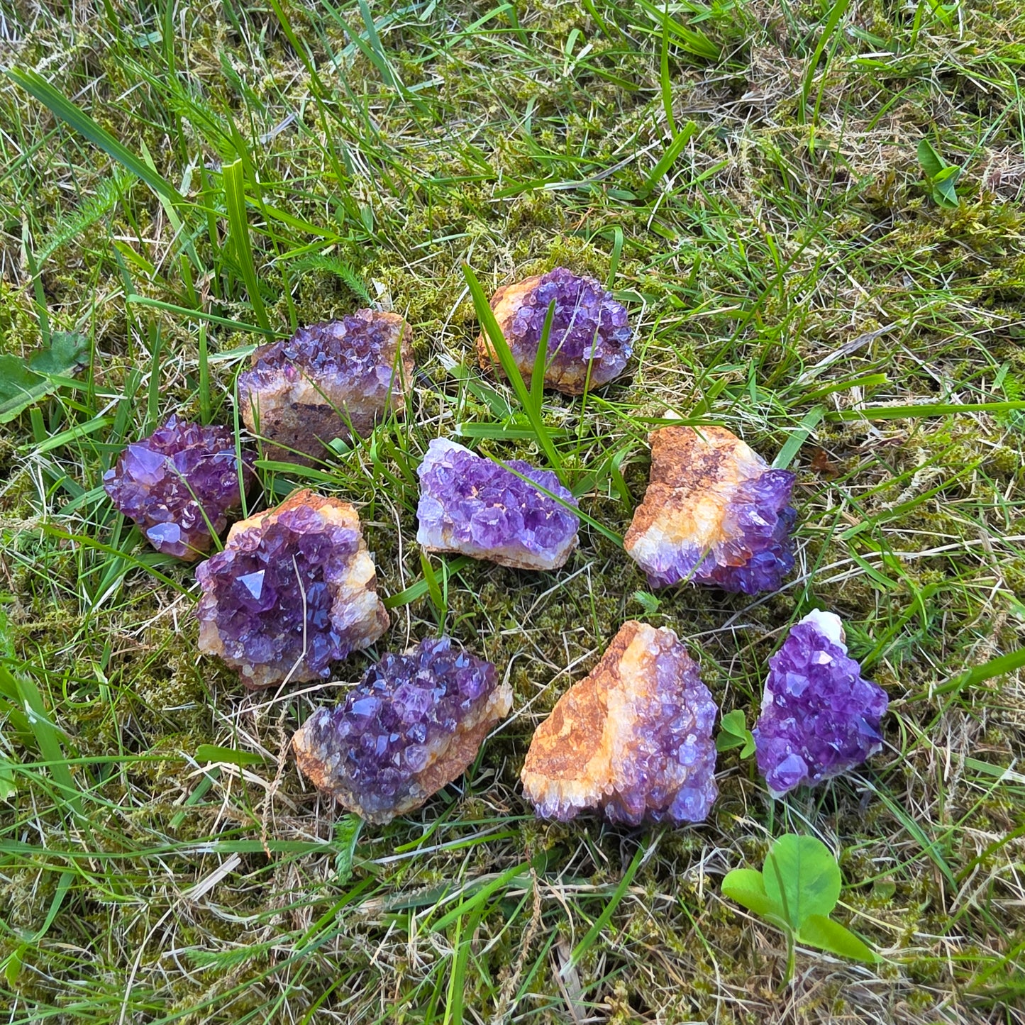 Afrikan ametisti clusteri -mini-