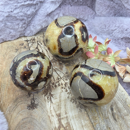 Septarian pallo