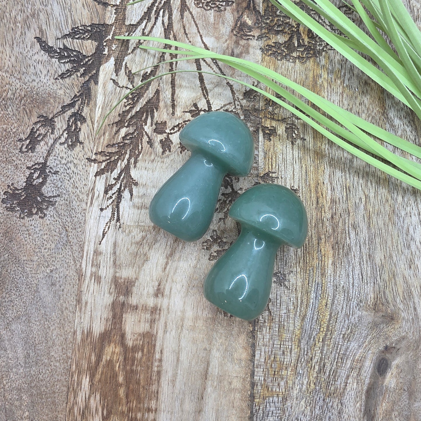 Sieni -valitse väri-