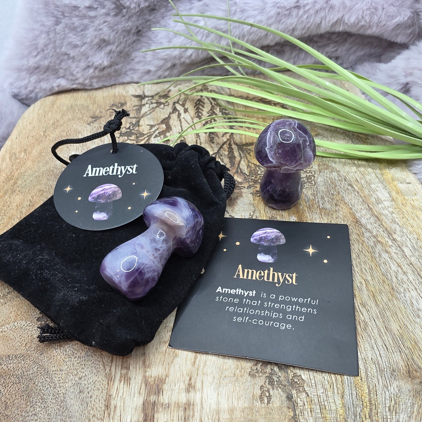 Taikasieni pussukassa