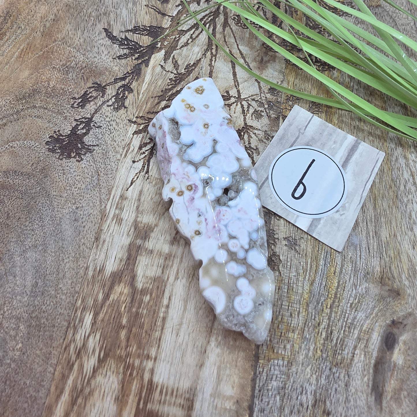 8th Vein-valtamerijaspis freeform