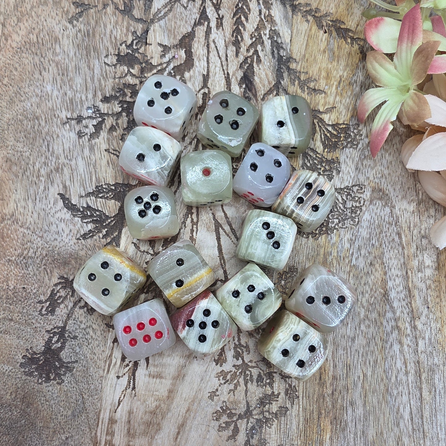 Kivinoppa -kaksi väriä-