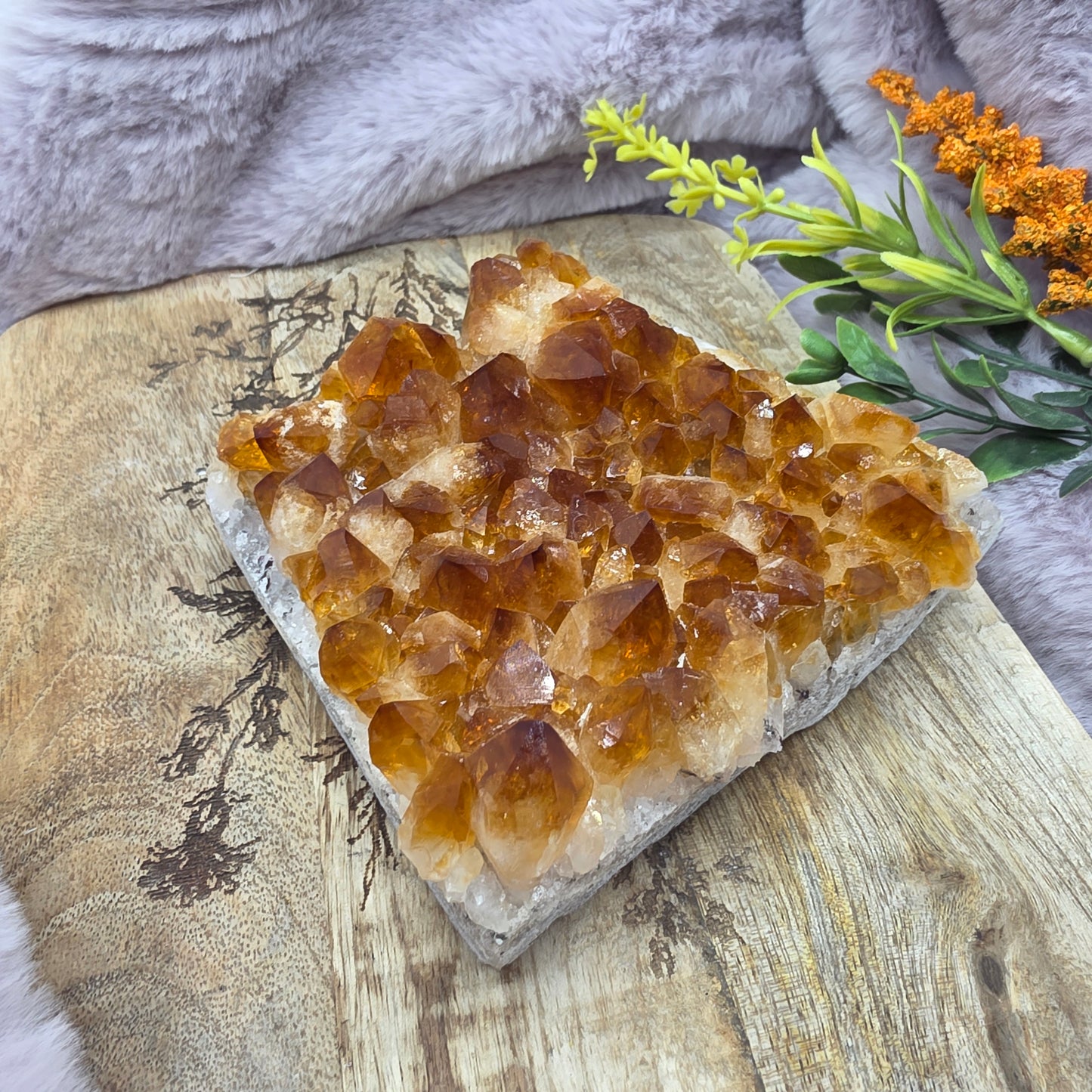 Sitriini clusteri nro.1 (lämpökäsitelty)