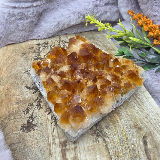 Sitriini clusteri nro.1 (lämpökäsitelty)