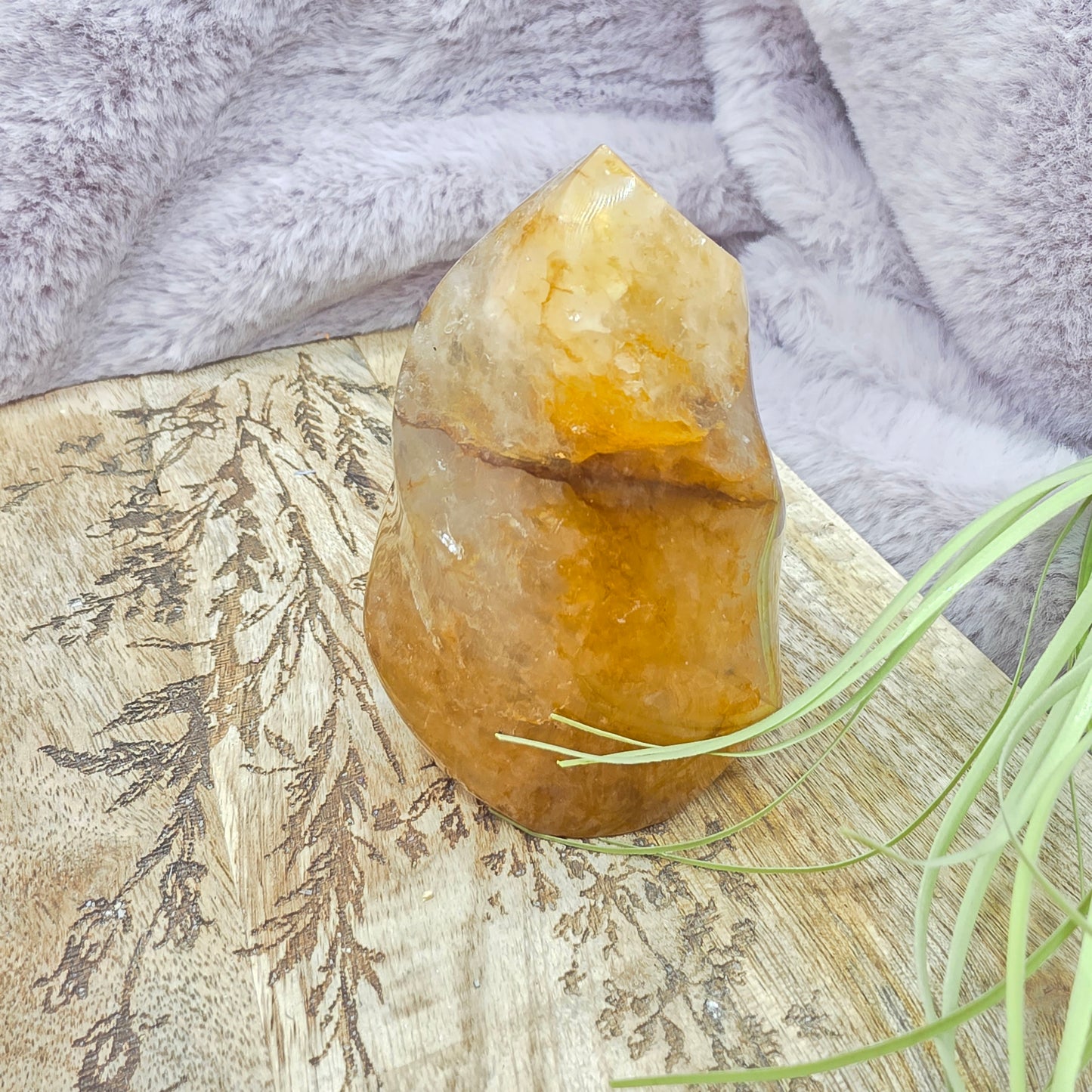 Golden healer liekki