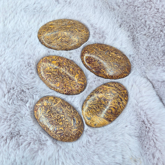 Käärmejaspis kämmenkivi