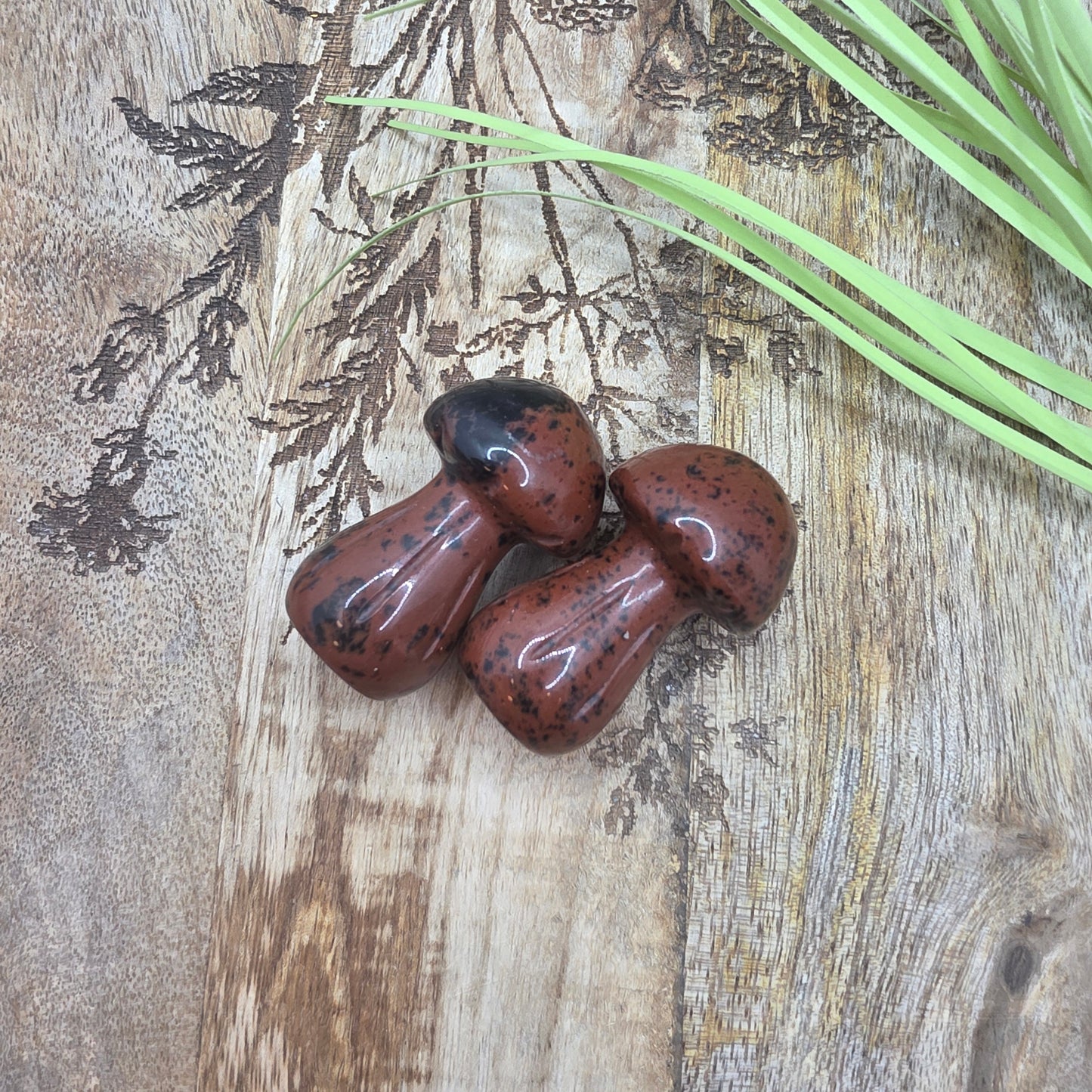 Sieni -valitse väri-