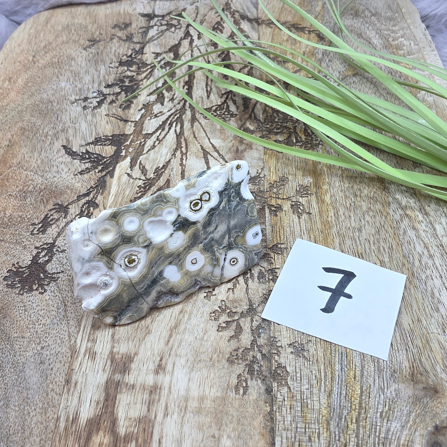 8th Vein-valtamerijaspis freeform