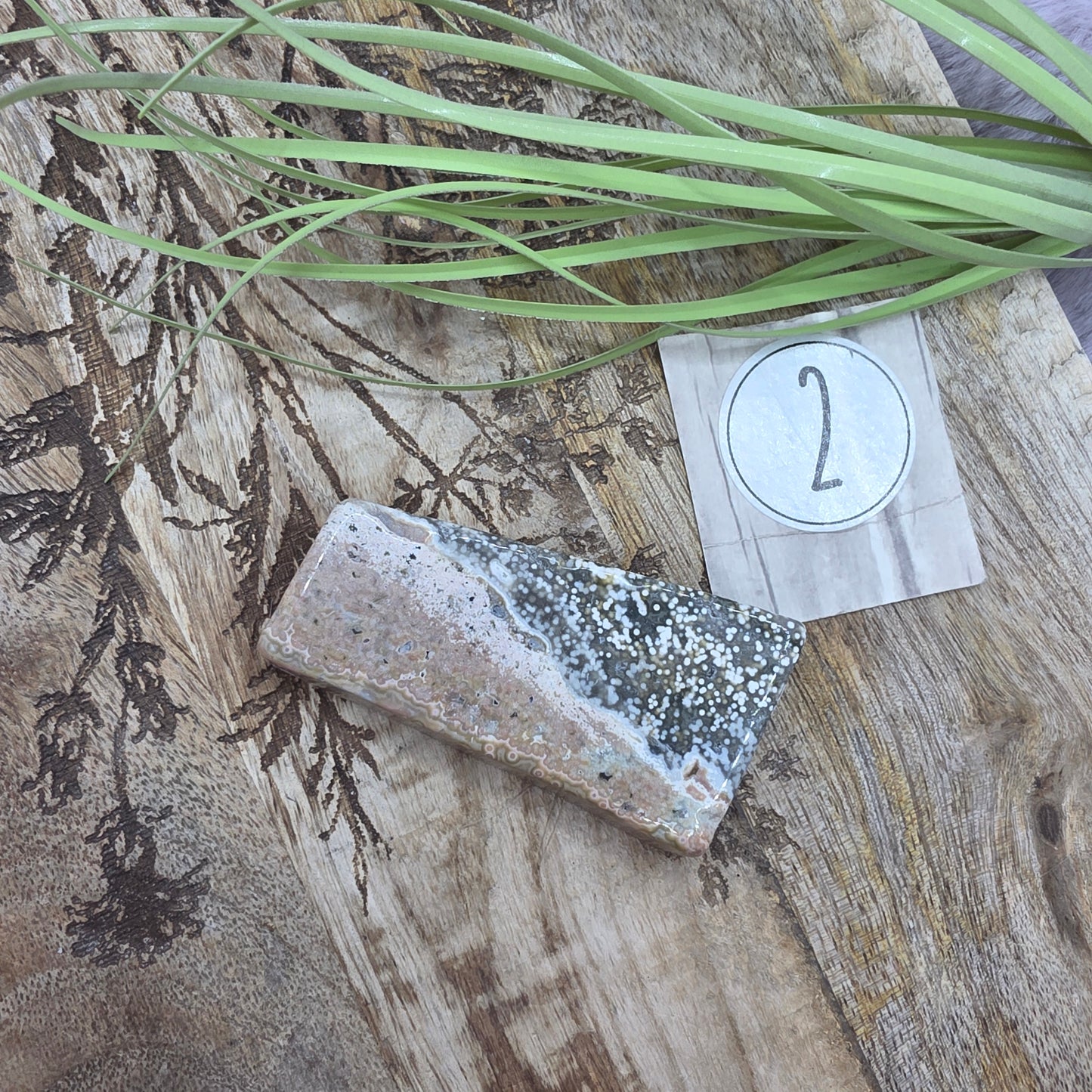 8th Vein-valtamerijaspis freeform