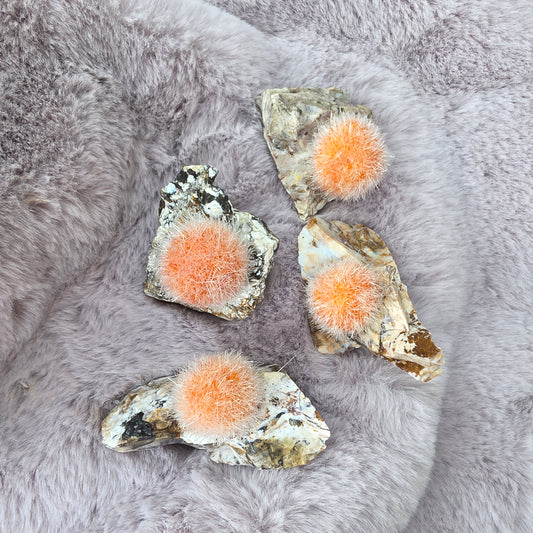 Zeoliitti emokivessä -oranssi- (kasvatettu)