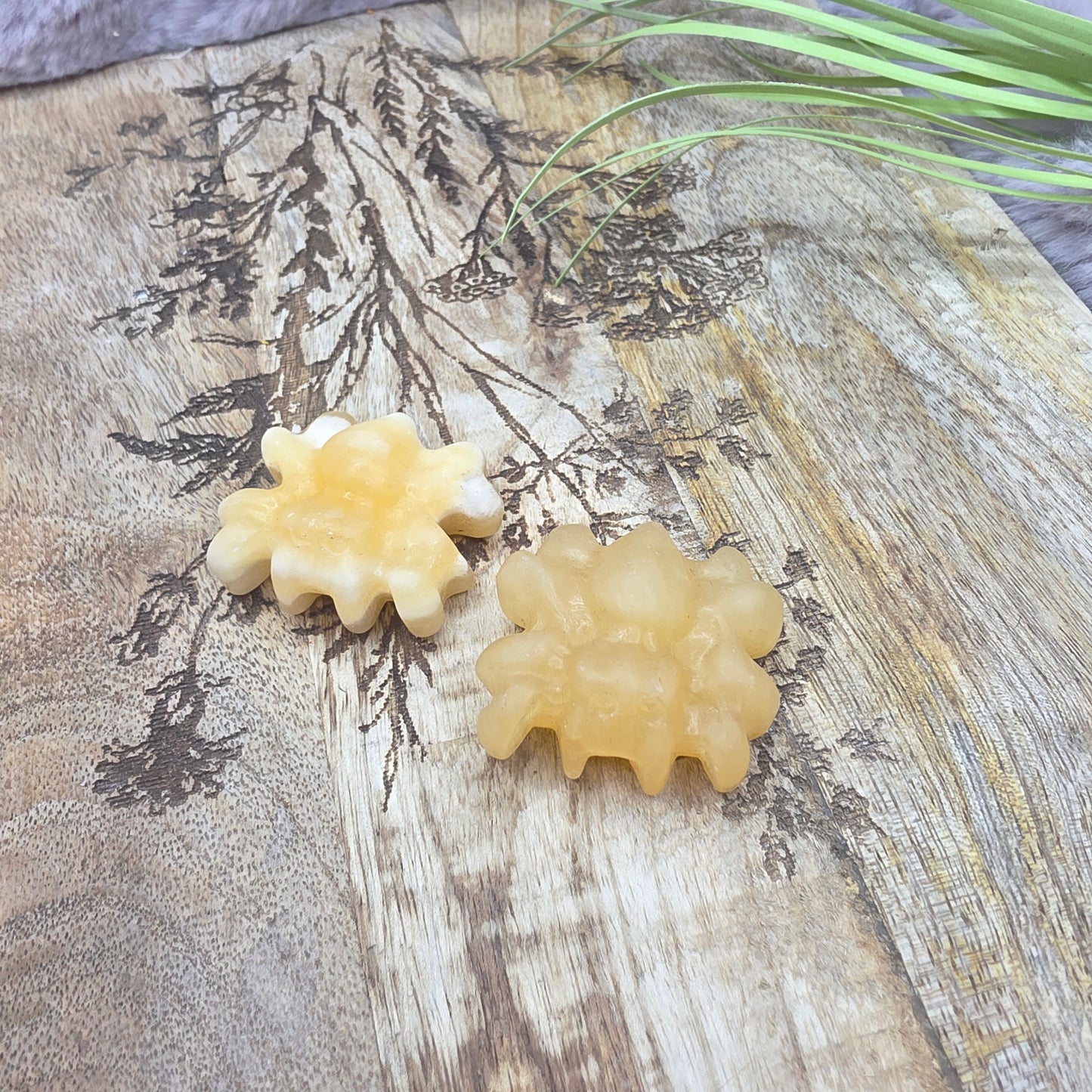 Pieni hämähäkki -valitse väri-